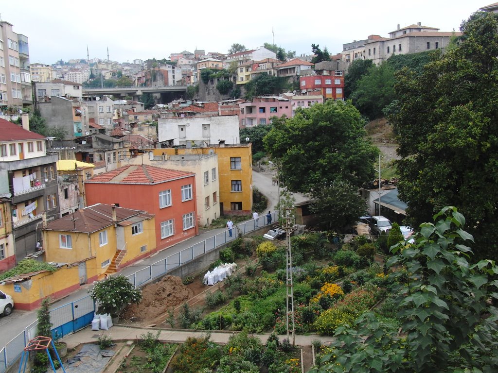 Trabzon,erdoğdu