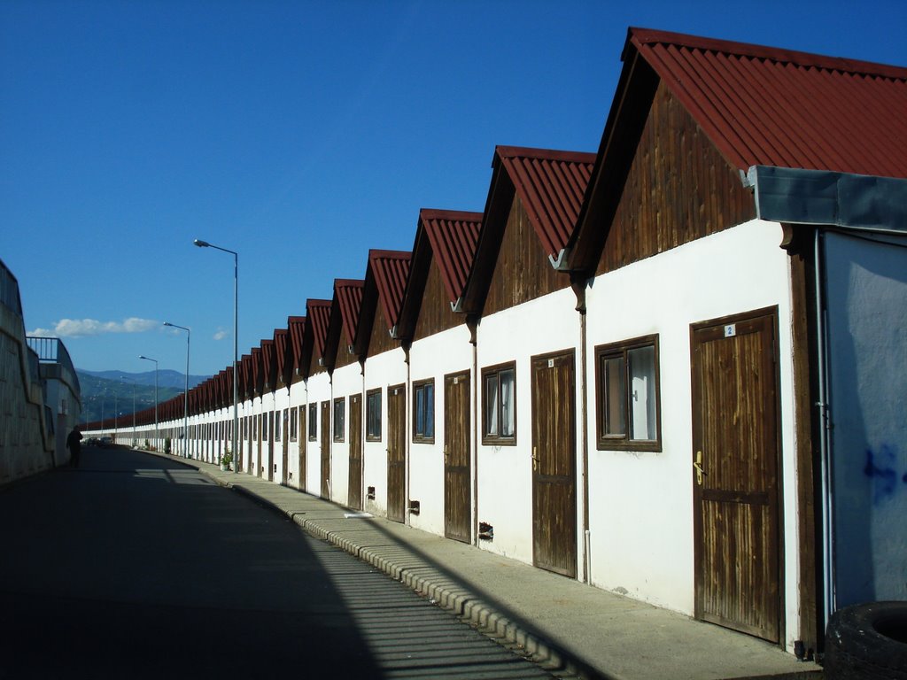 FARAOZ BALIKCI BARINAKLARI
