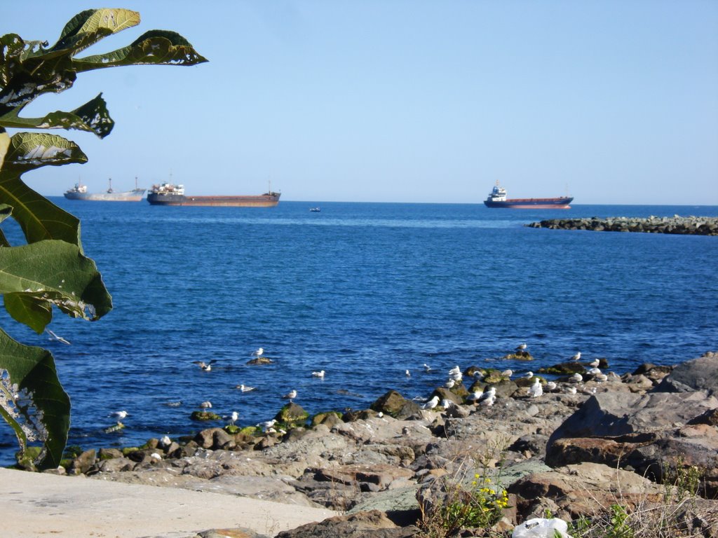BEKLEYİŞ