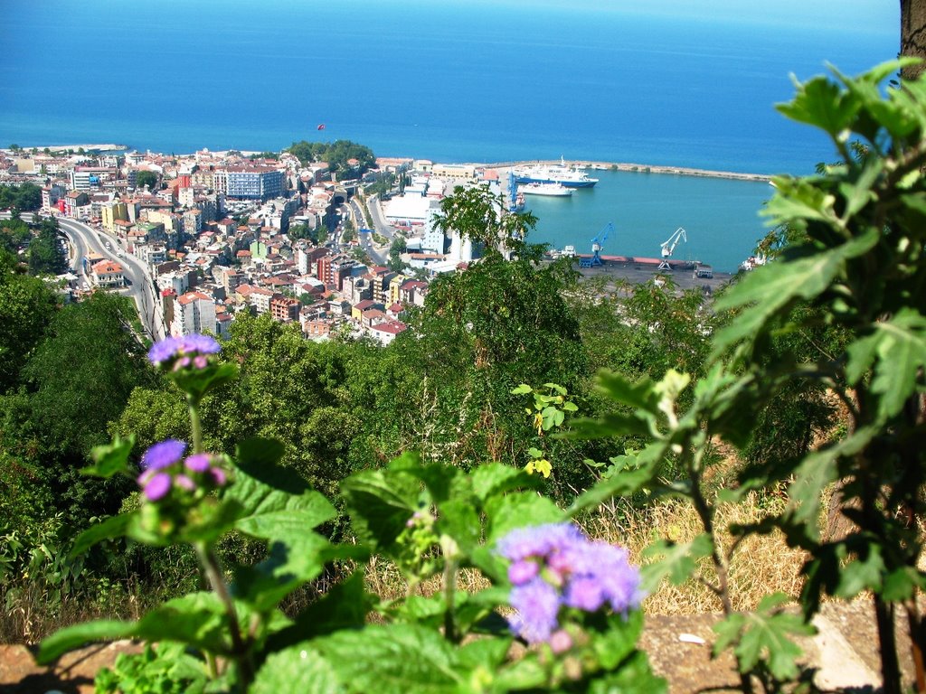 TRABZON BOZTEPE