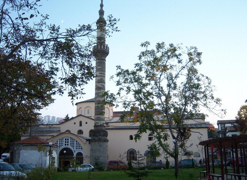 ORTAHISAR CAMII /PURKİNJE
