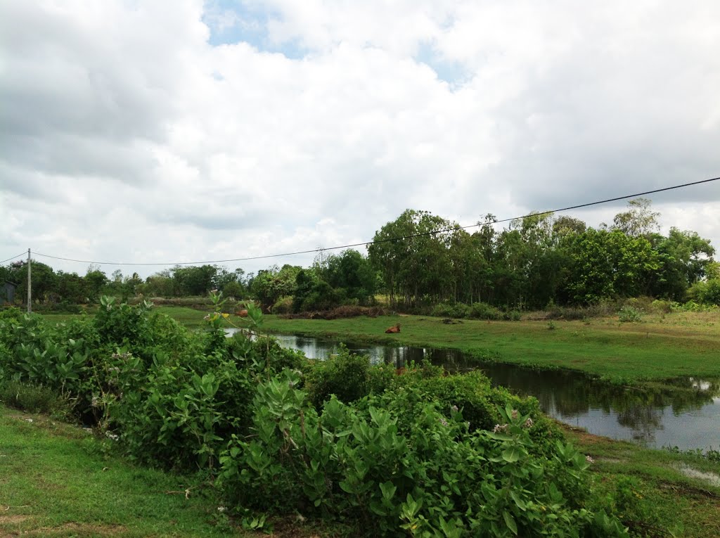 Duyên Hải