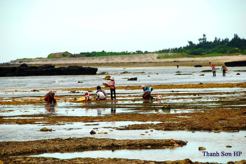 Bãi triều ở phía Đông Bắc đảo Lý Sơn
