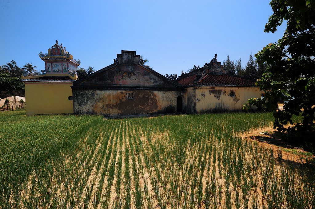 Dấu vết thời gian