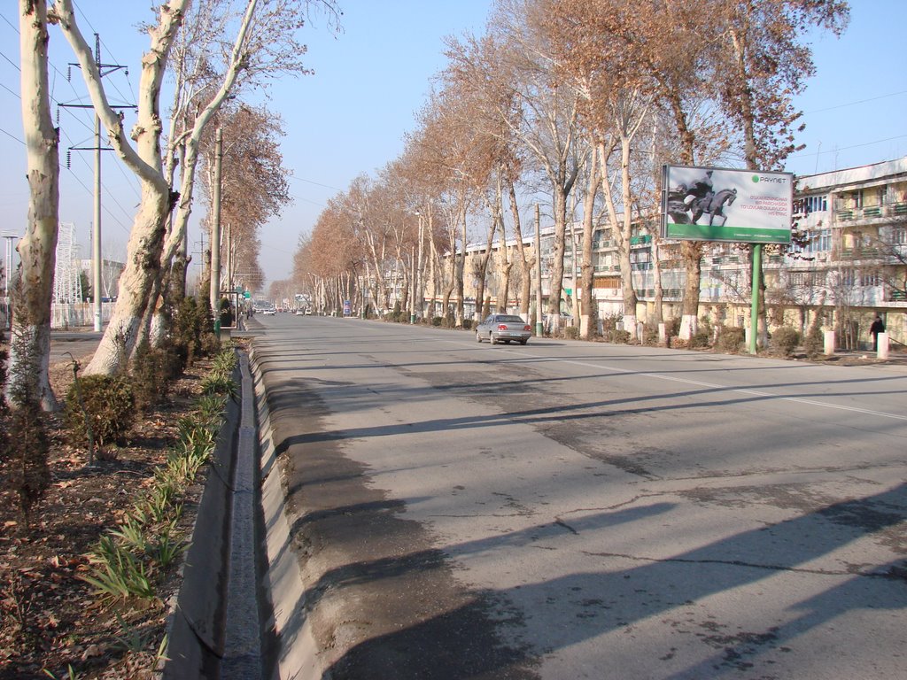 Belinskiy street (Old name)