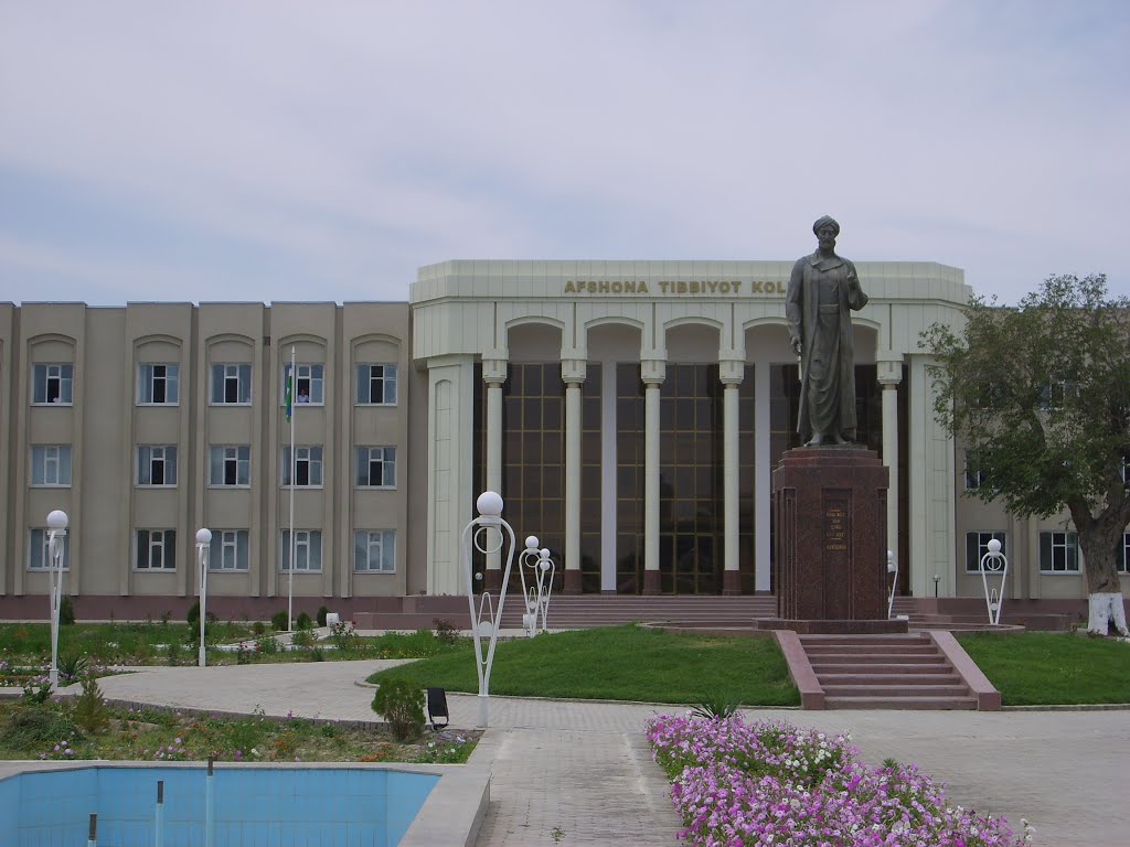 Ibn-Sina medical training college
