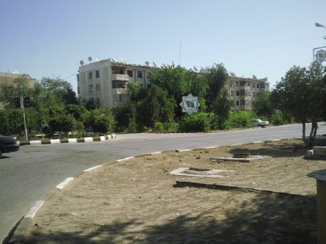 Seydi