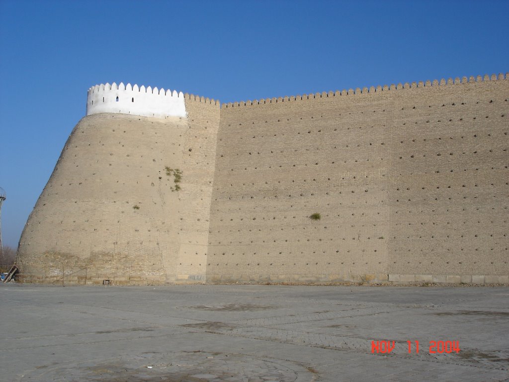 Walls of the Ark