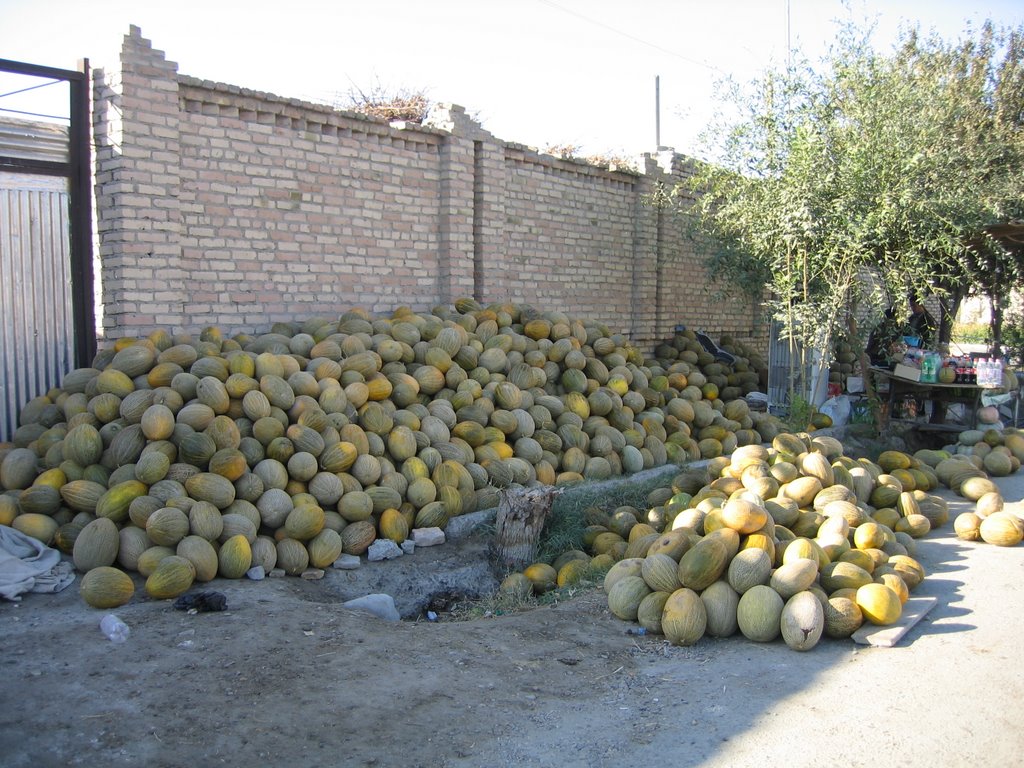 Vabkent