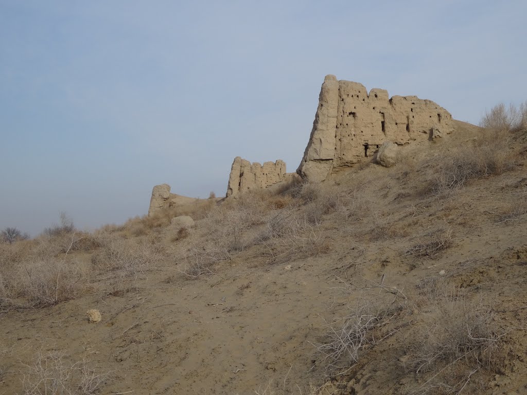 Ancient Paykend near Dzhanafar Uzbekistan