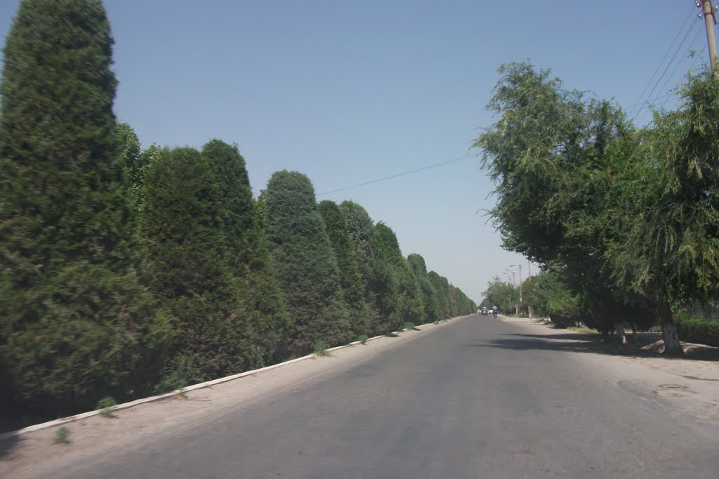 Romitan,ЁЛОЧКИ