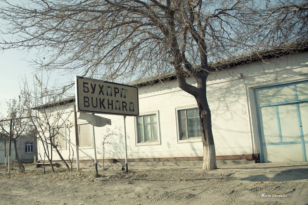 Welcome to Bukhara!
