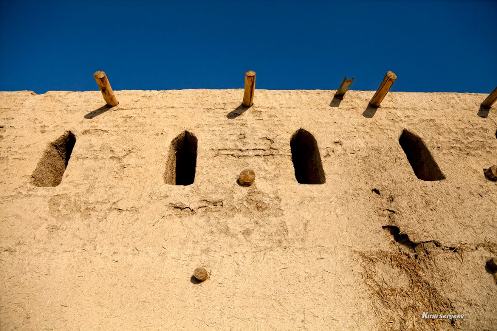 The Wall