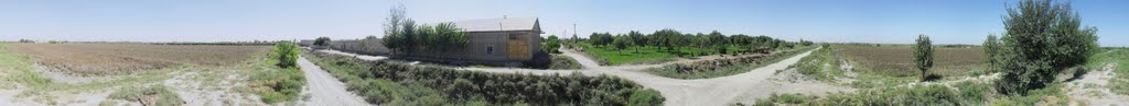 360 degree photos series - Kunjiqala, Bukhara