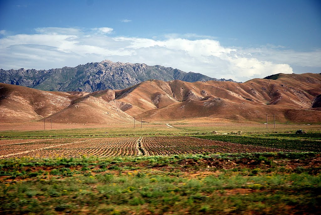 panorama
