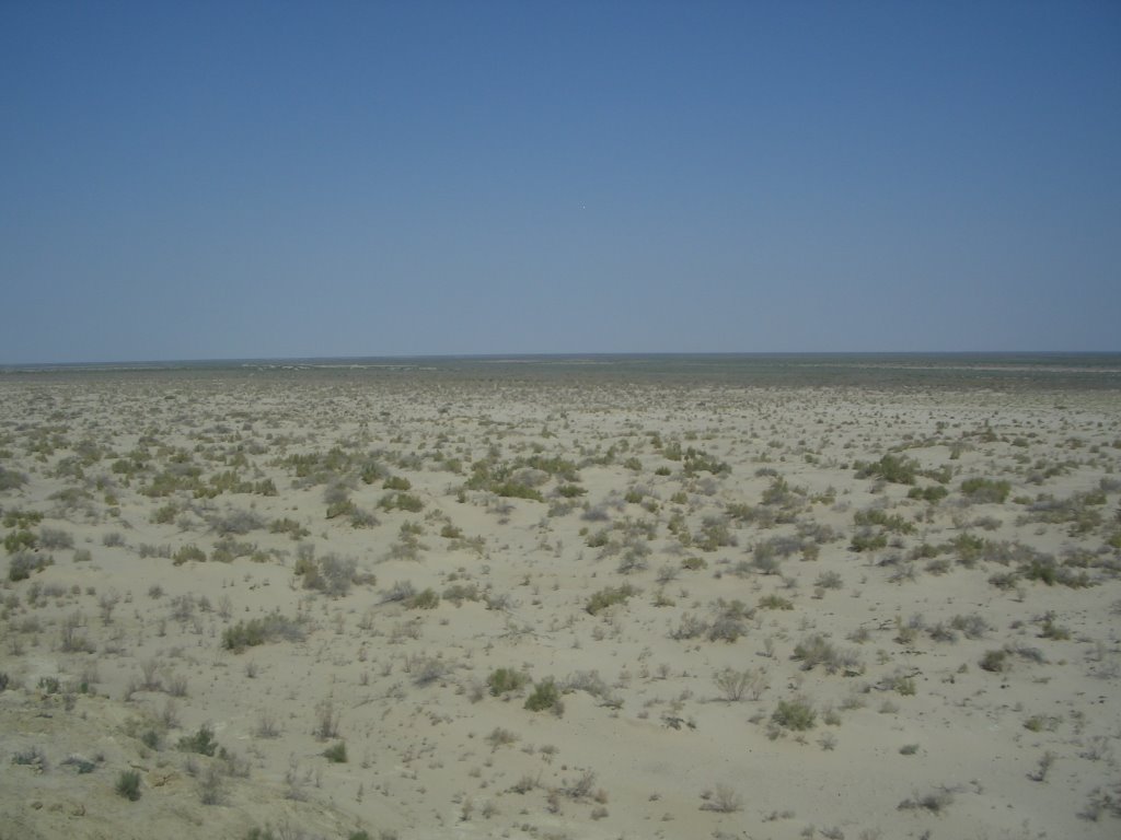 Aral Sea 2007