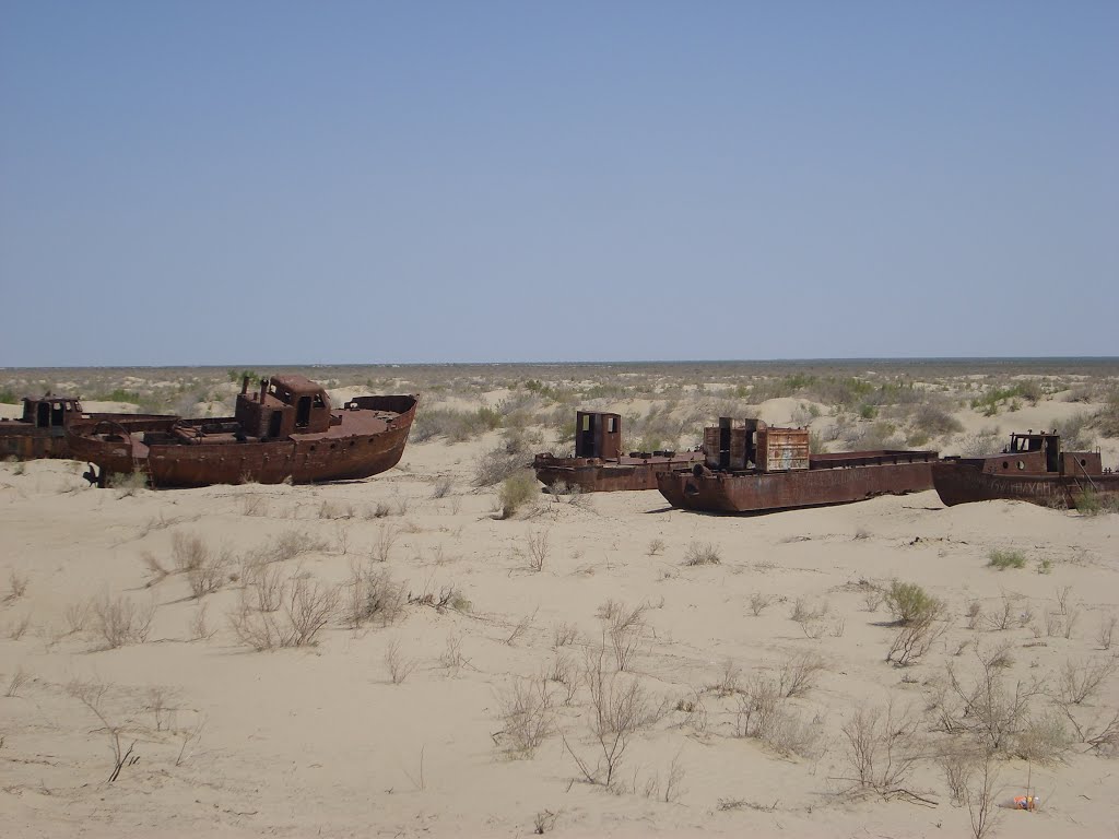 Abandoned fishing boats