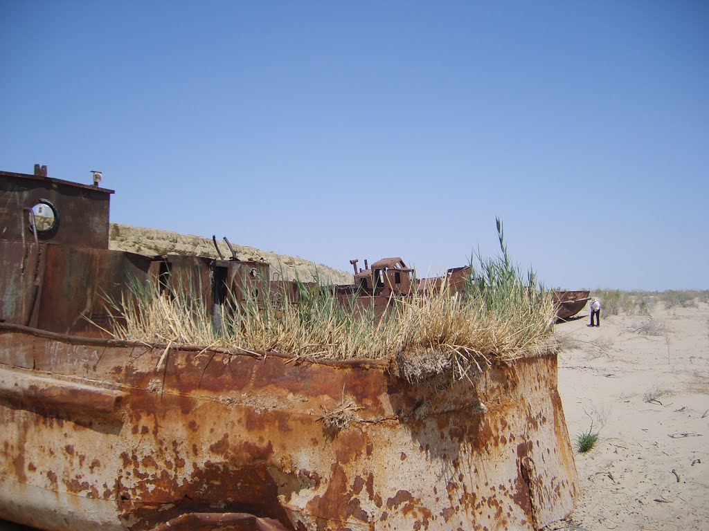 abandoned fishing boats