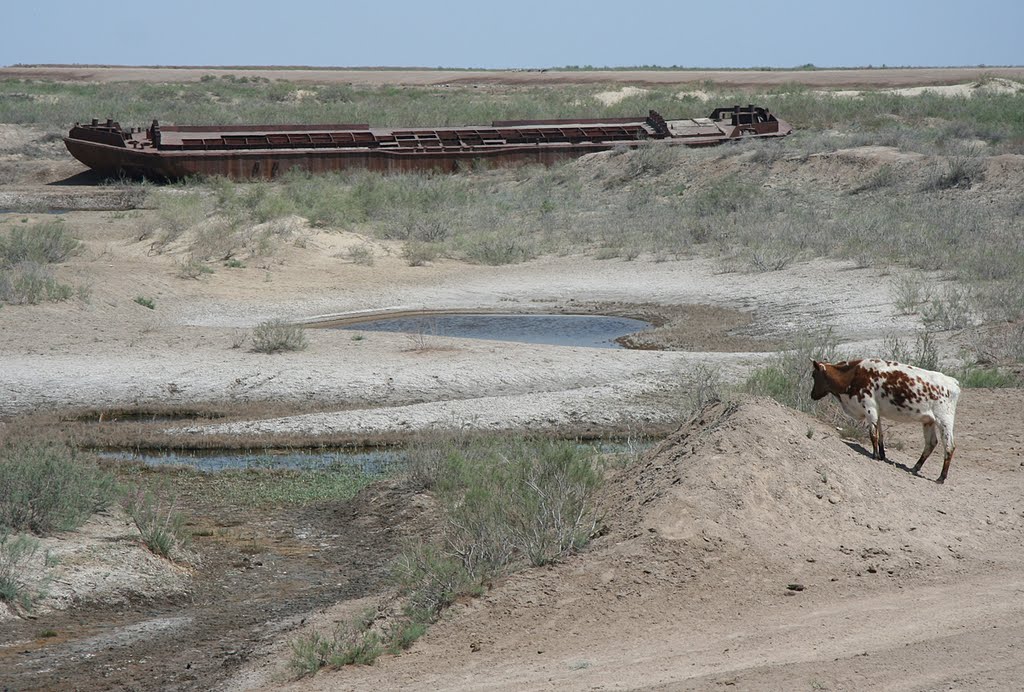 Aral Sea