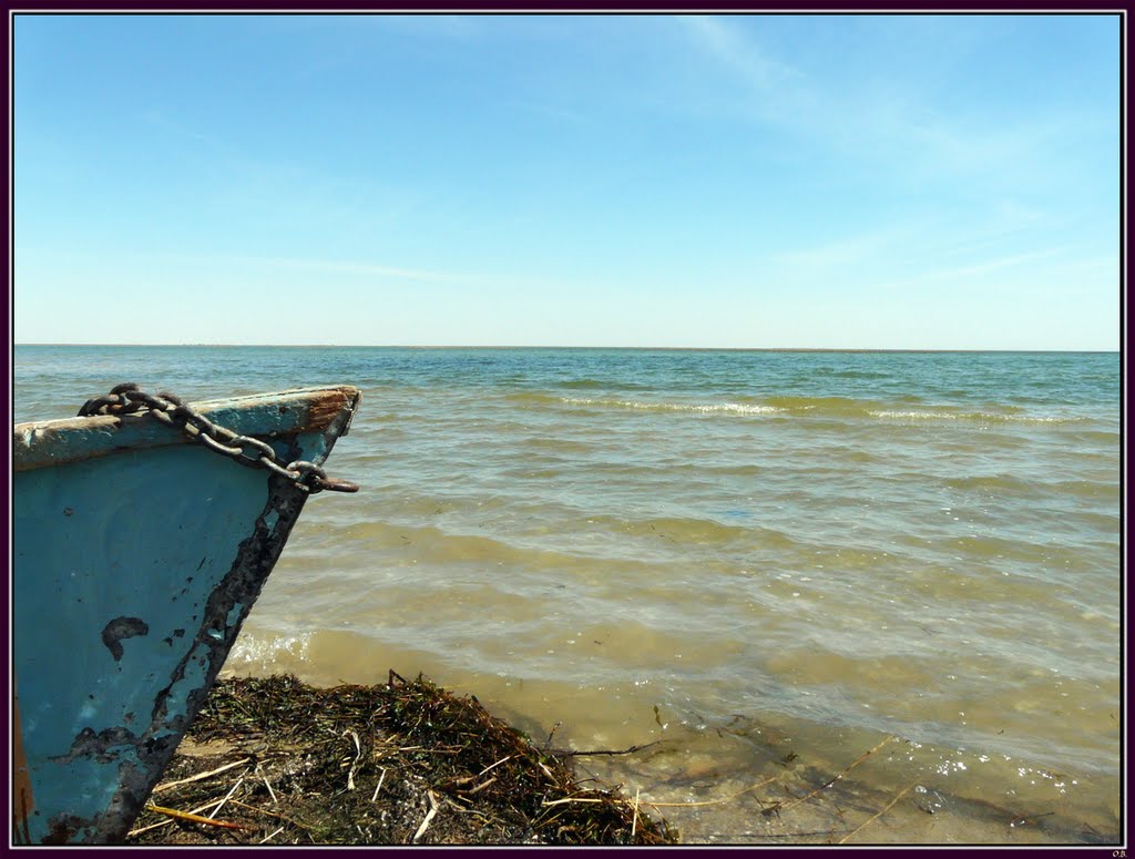 Старица Арала / Oxbow of Aral Sea