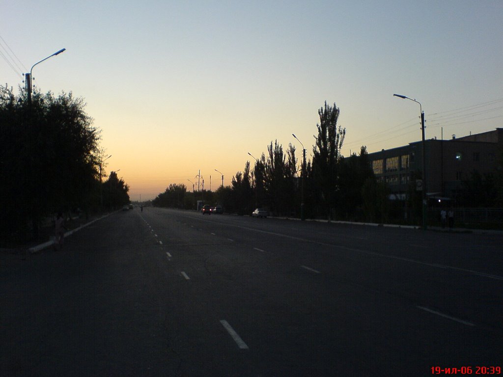 Бассейн "Амударья"