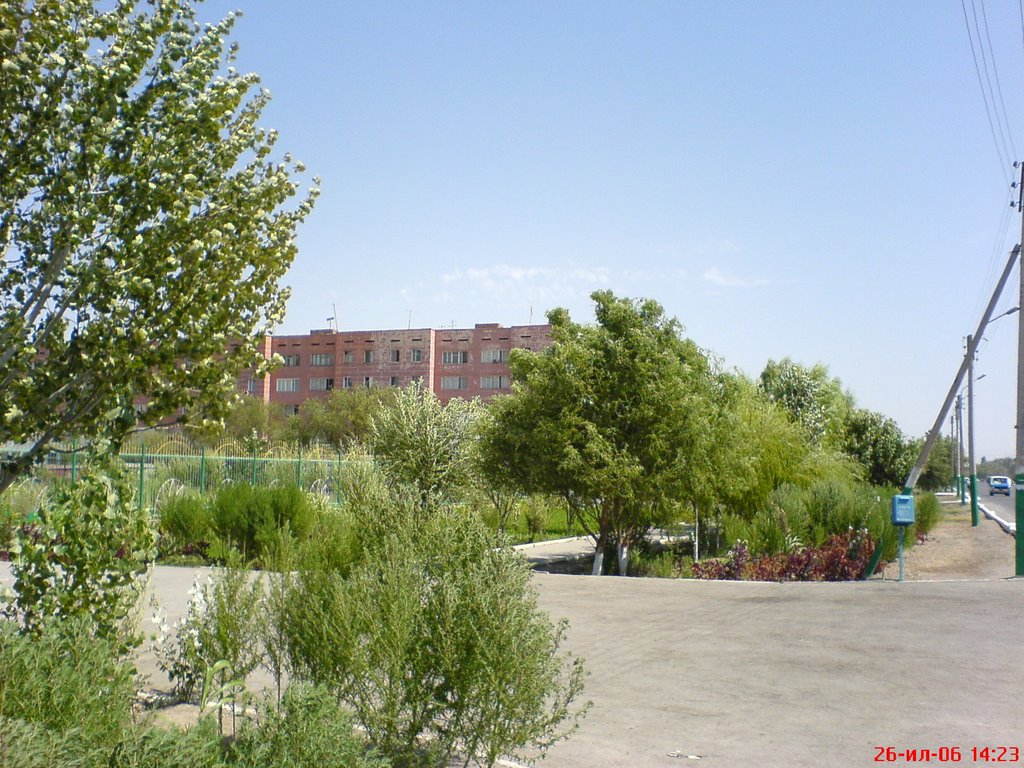 Дом Сашули