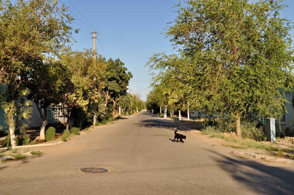 Nukus in Uzbekistan.