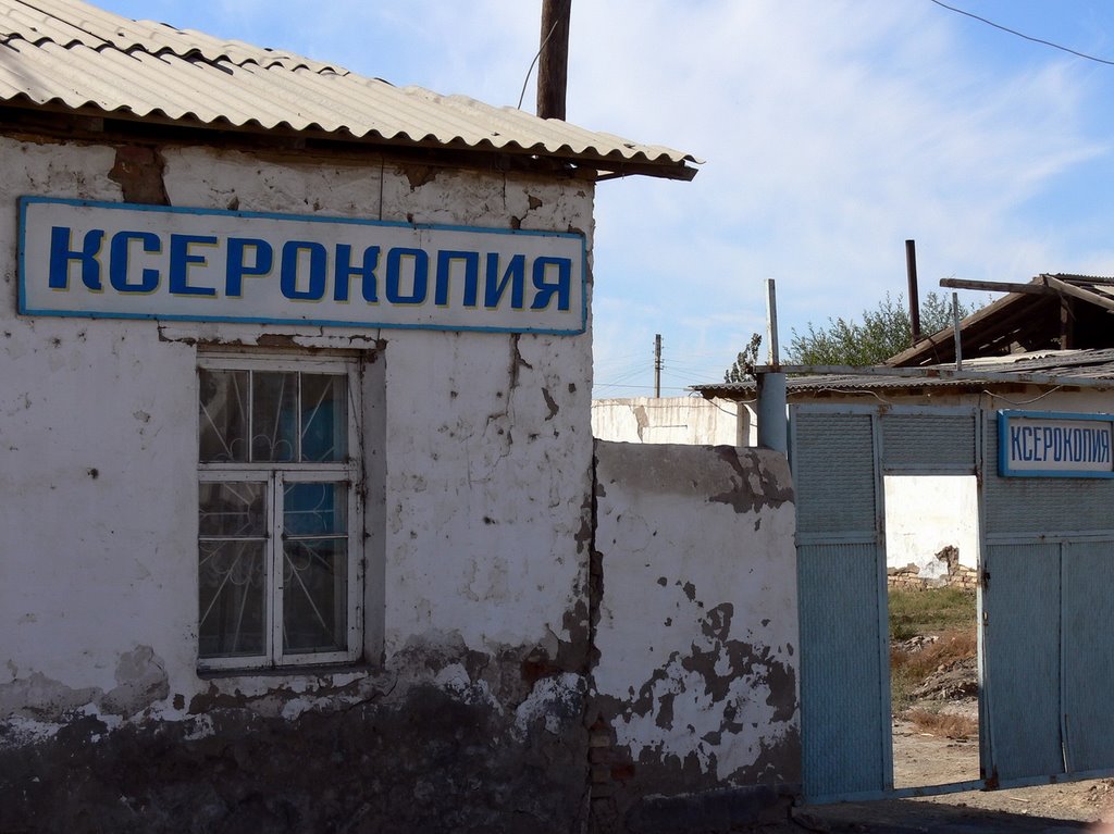 Oltinko‘l