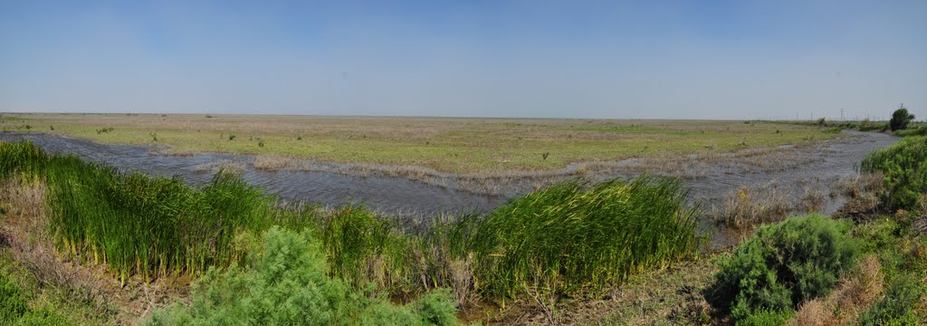 Around Muynak in Uzbekistan.