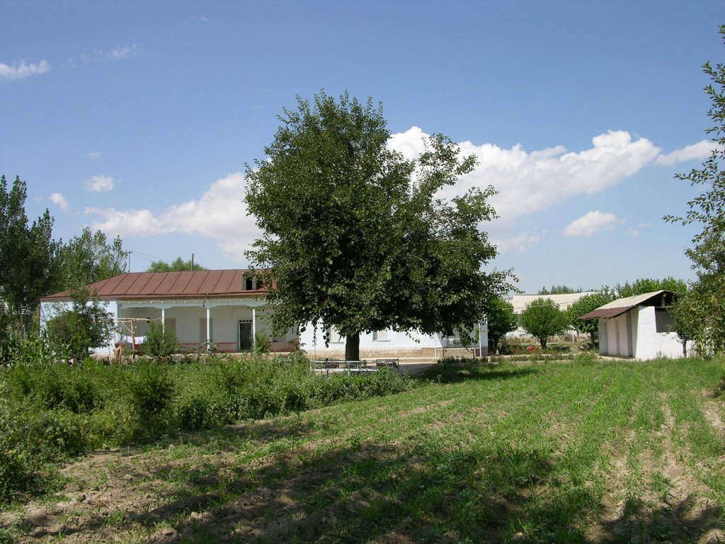 "Kulkishlak" village. Urgut, Samarkand