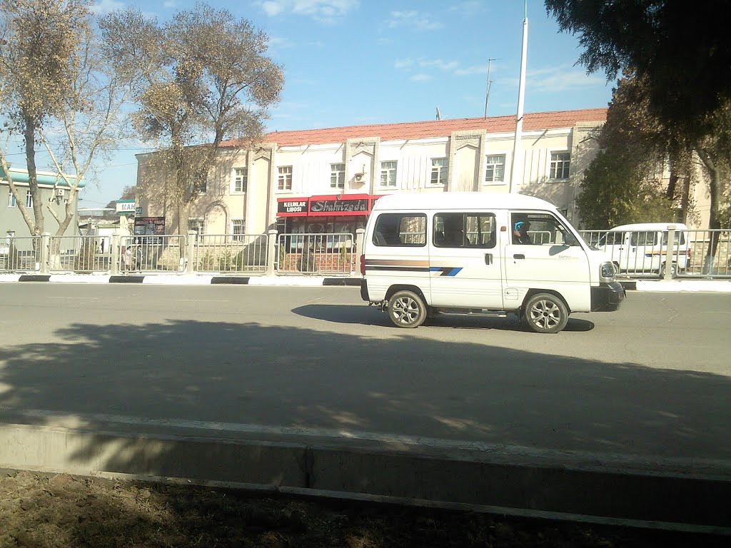 Ozbekiston kochasi