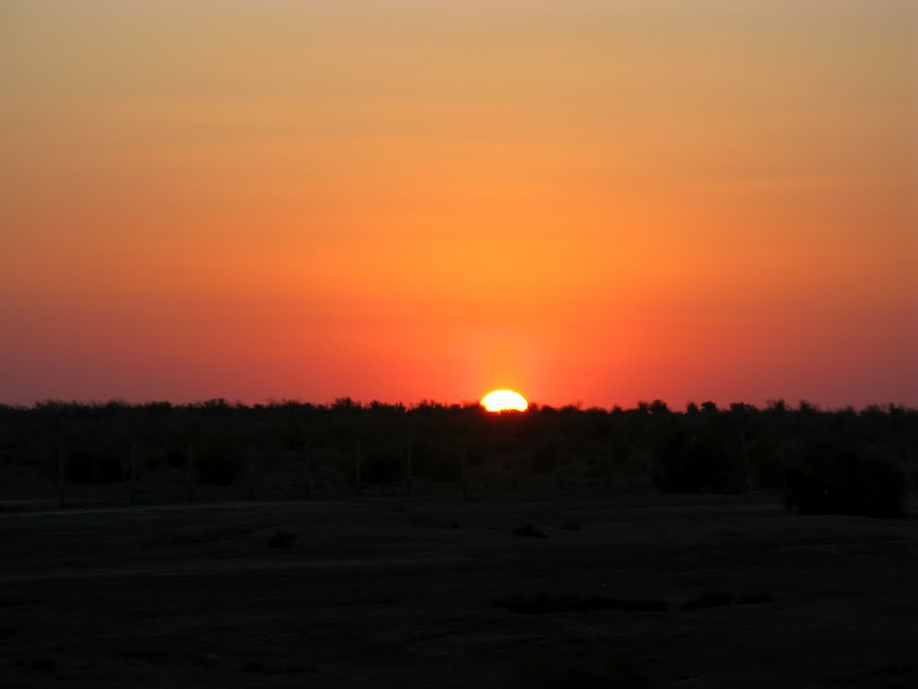 Desert near Bukhara