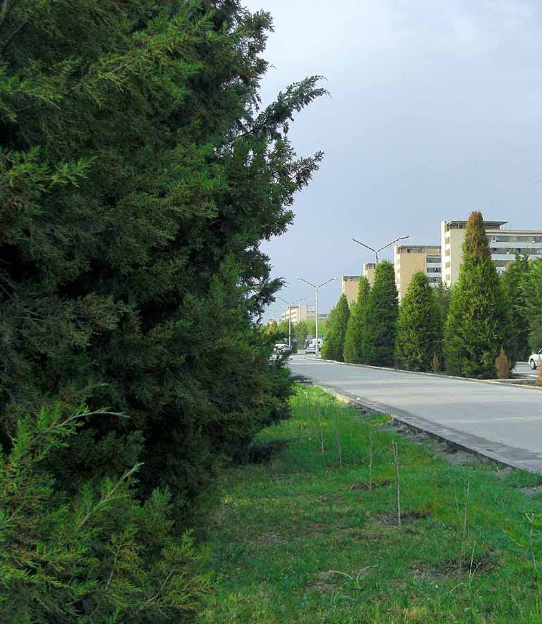 проспект Ленина