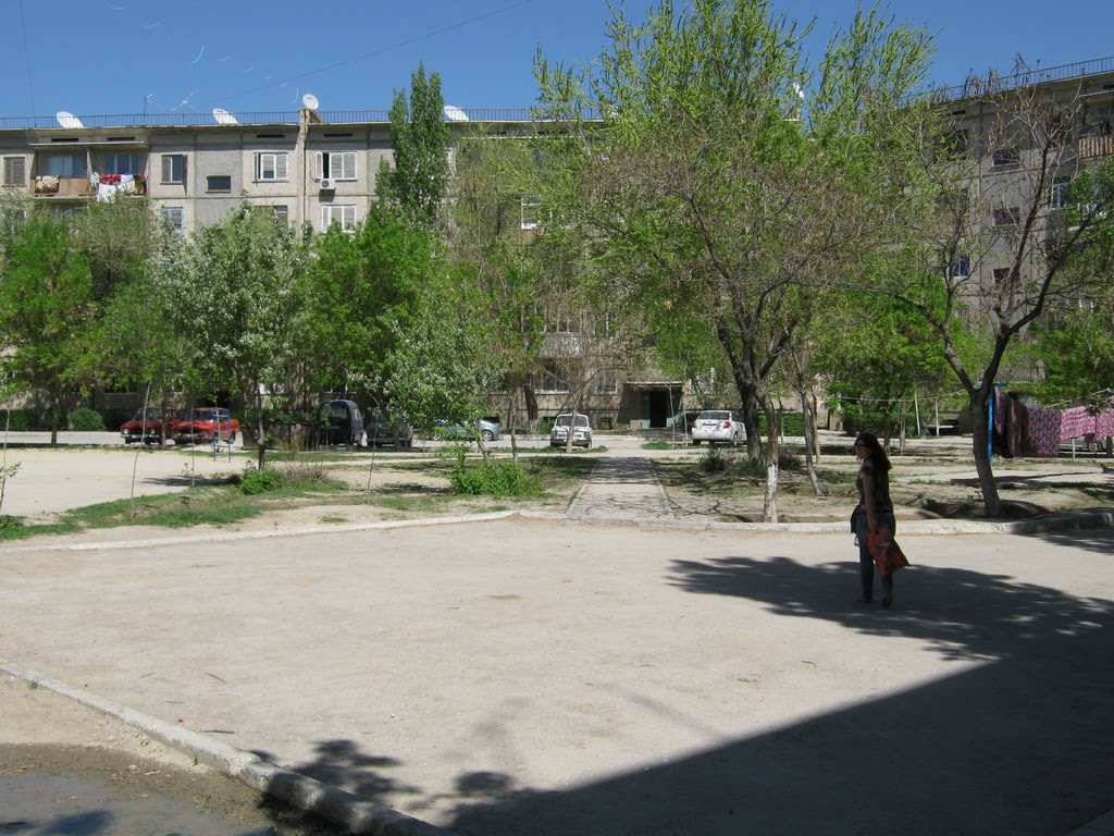 Двор