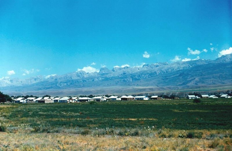 Kanysh-Kyya