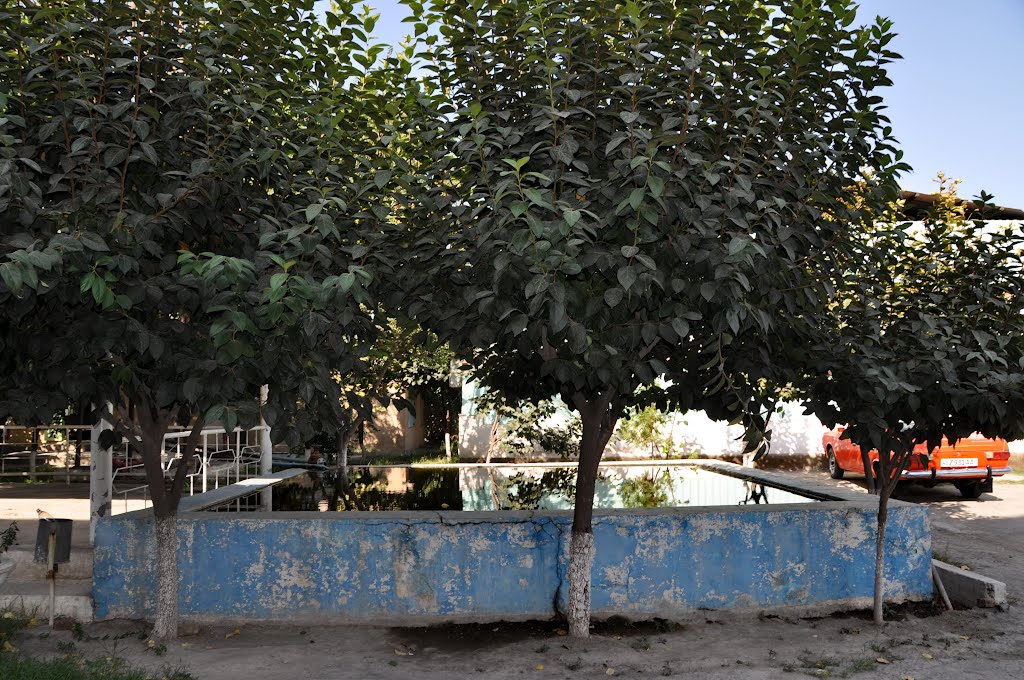 Fergana, Uzbekistan.