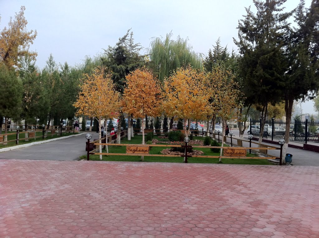 Берёзки в Намангане