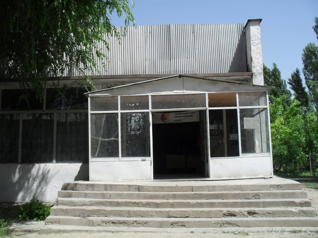 shop