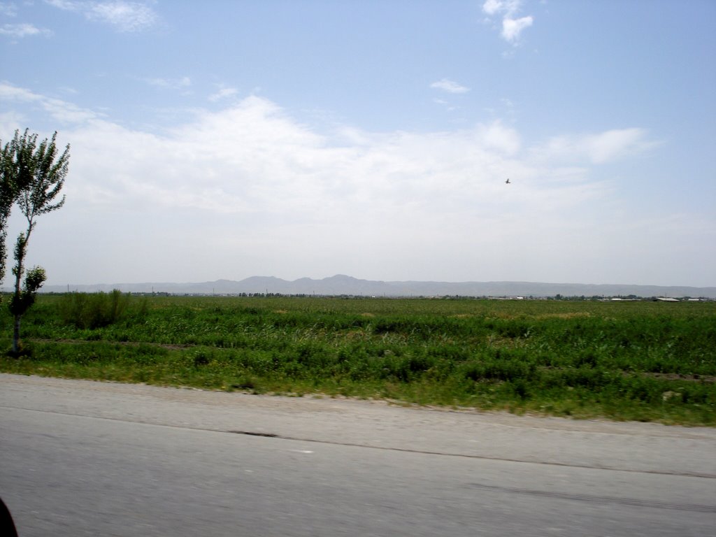 baykut