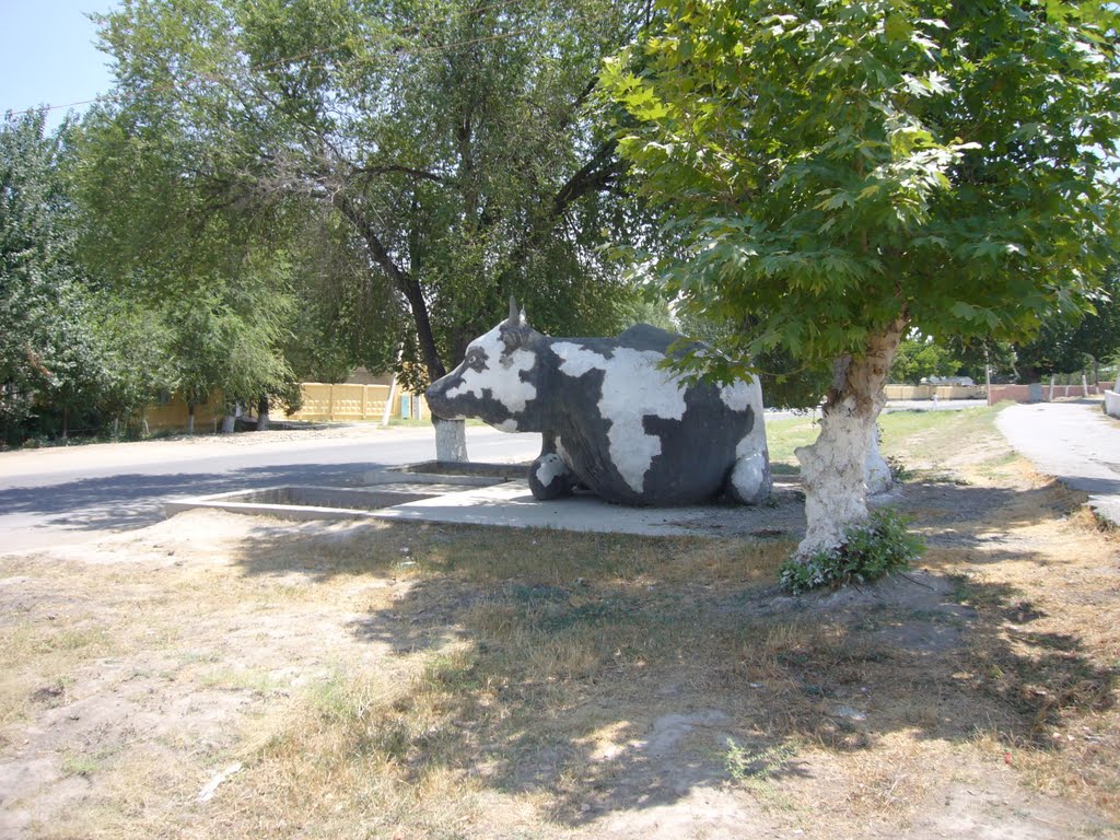 Каттакурган