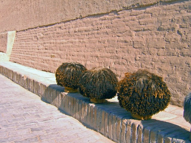 Hairstyle, Uzbekistan