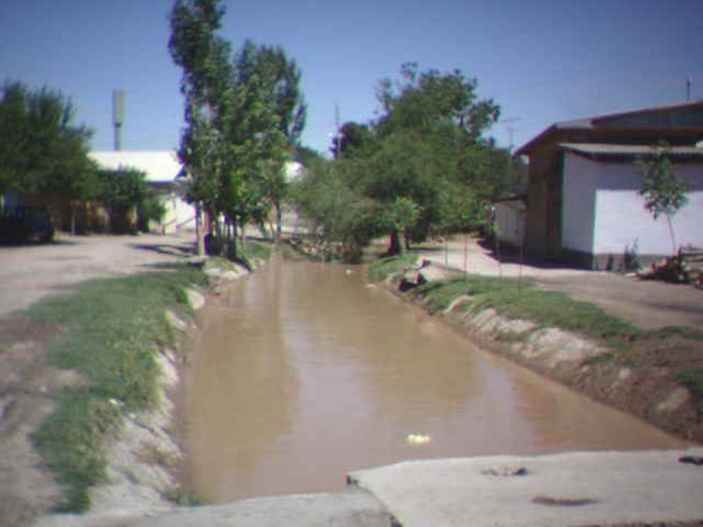 Денау арык