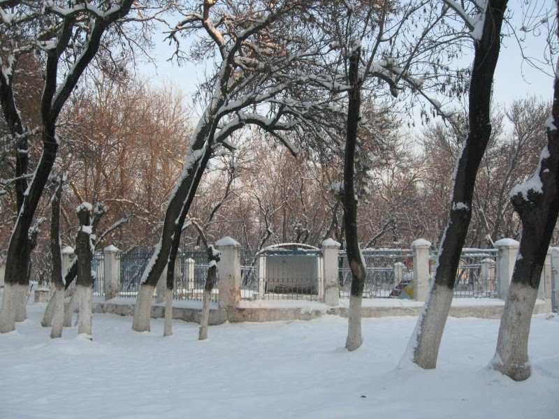 Танцплощадка в ПКиО