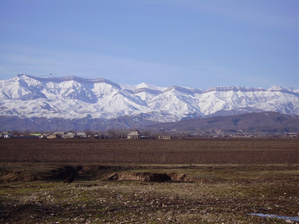 Kuhhoi Sariosiyo