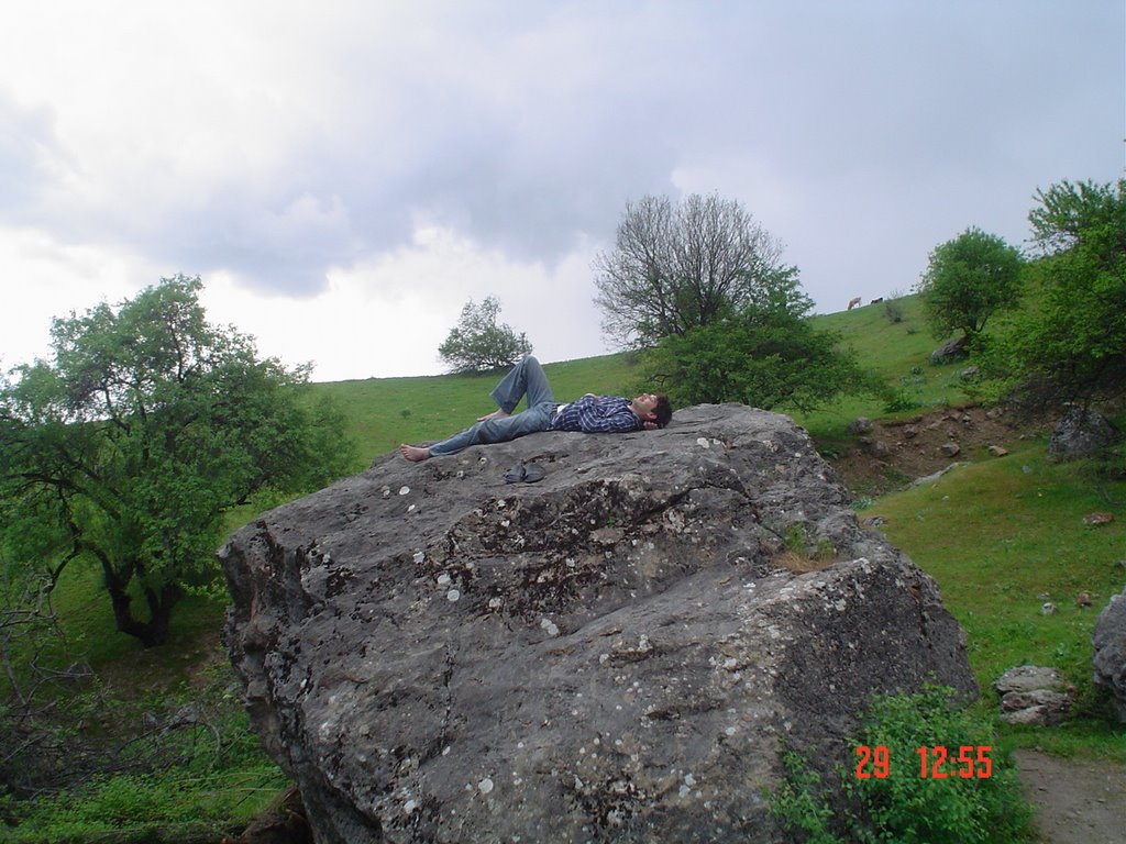 The stone at Big Chashma