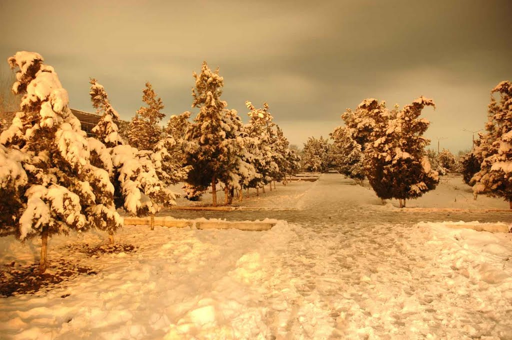 Winter in Central Termez