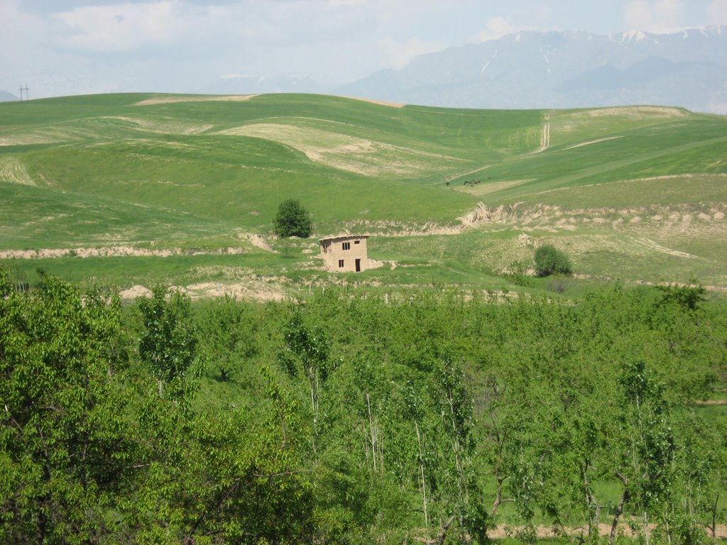 Lonely house. Hissar, Tajikistan.