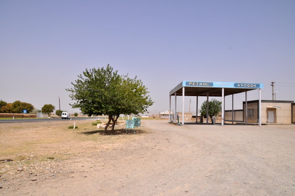 Along the road to Termez in Uzbekistan.