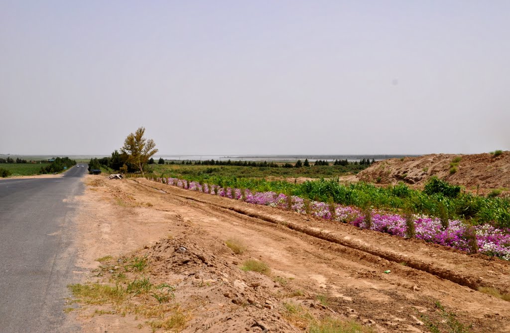 Border with Afghanistan in Termez, Uzbekistan.