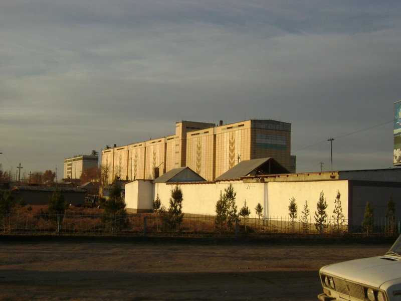 Мелькомбинат
